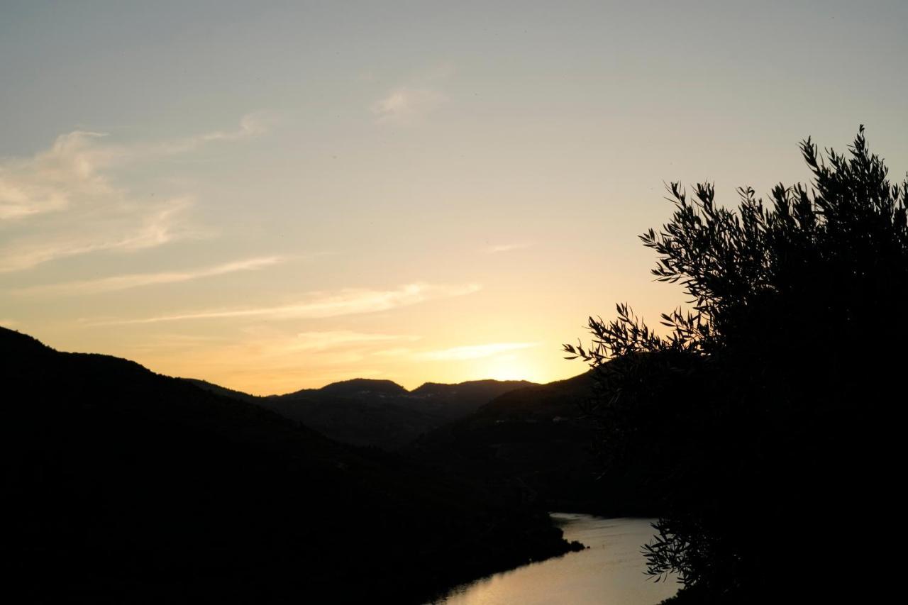 Quinta De S. Jose - Turismo Rural Ervedosa do Douro エクステリア 写真